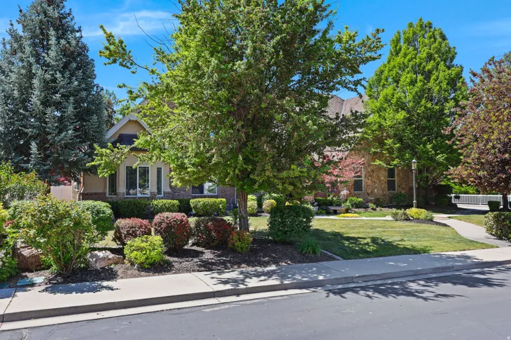Stone and stucco exterior residence featuring a front lawn with mature trees and established landscaping