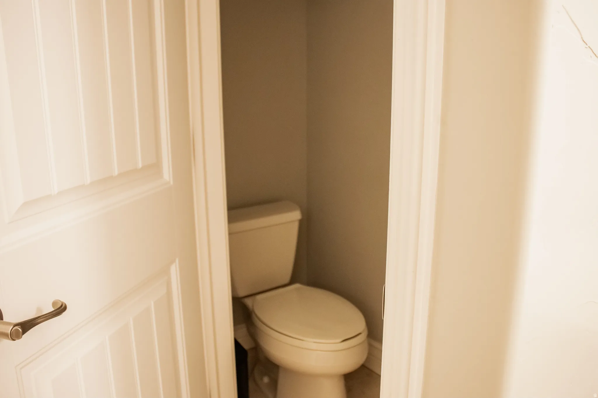 Master bathroom toilet