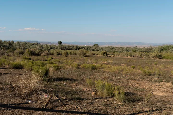 View of local wilderness featuring rural landscape