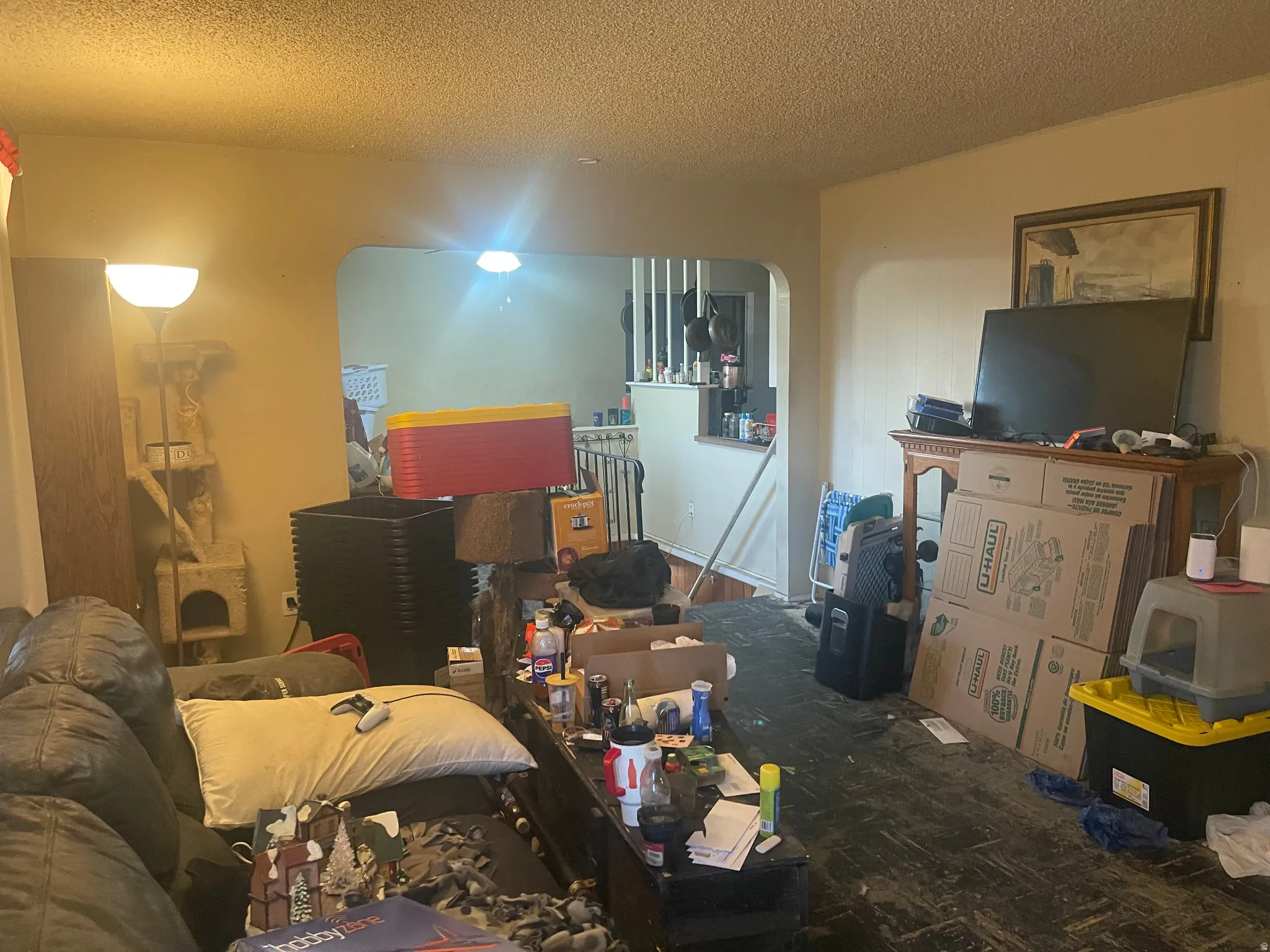Living room featuring a textured ceiling and arched walkways