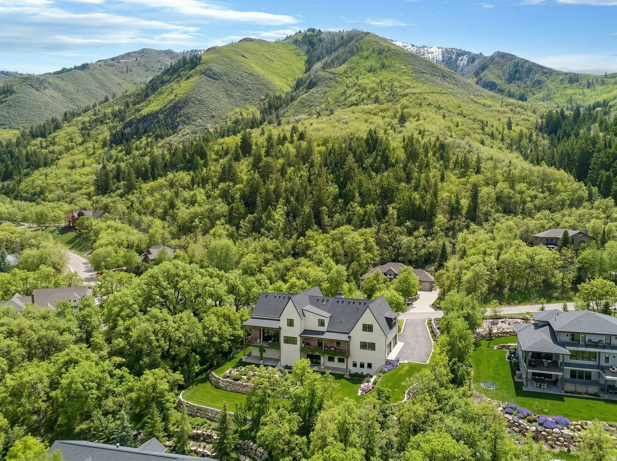 Aerial view of a mountainous background and a heavily wooded area