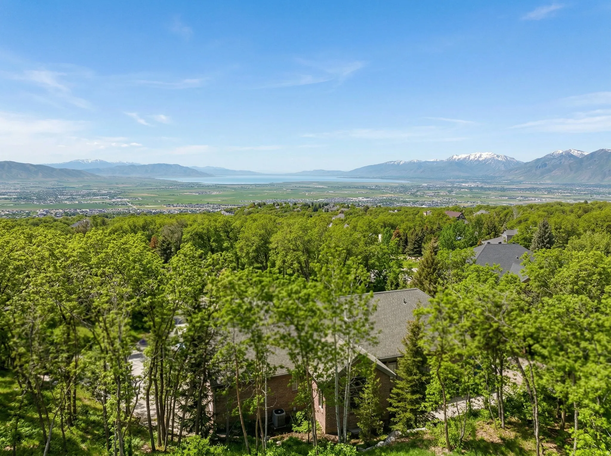 View of mountain background with a heavily wooded area
