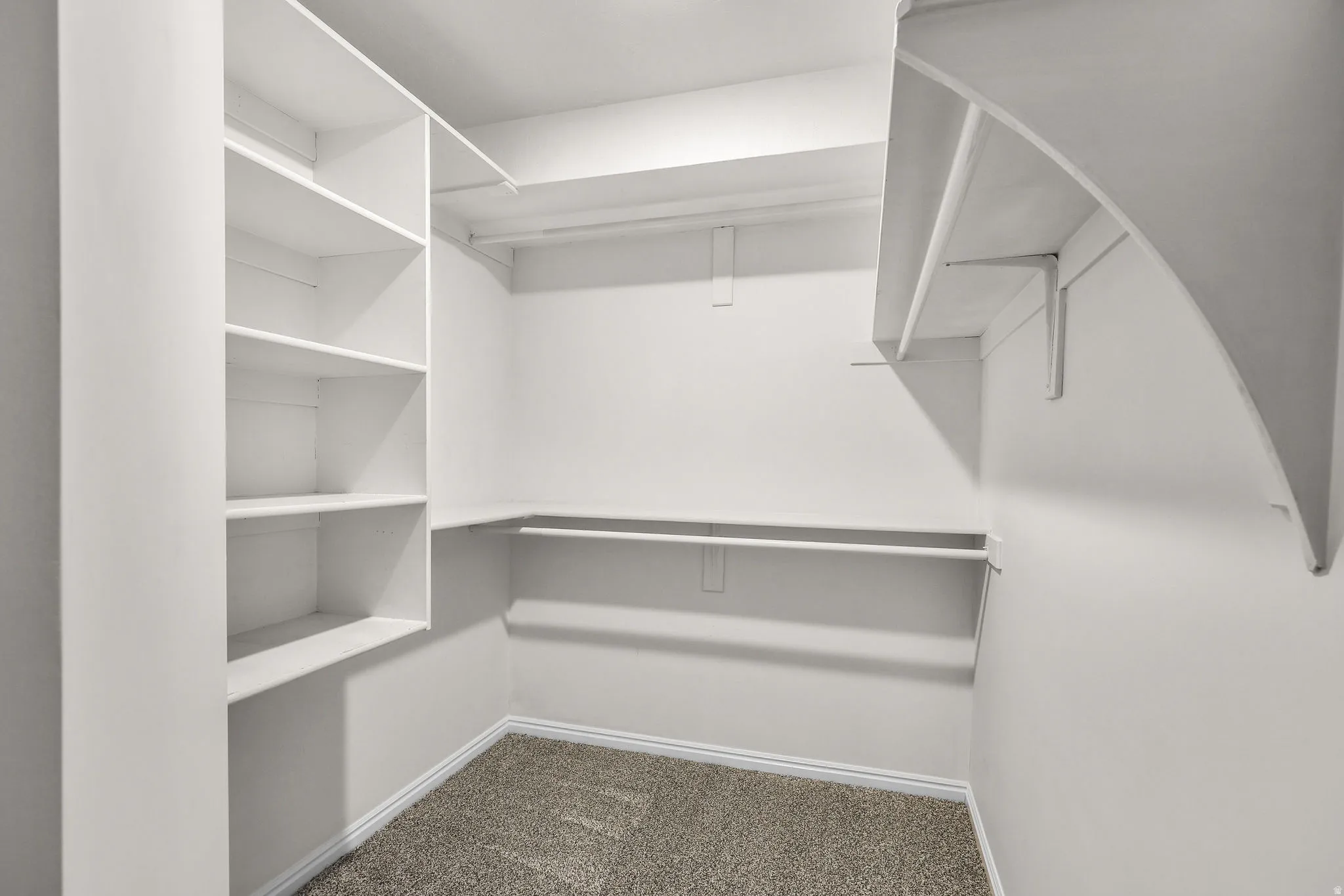 Walk in closet featuring carpet floors