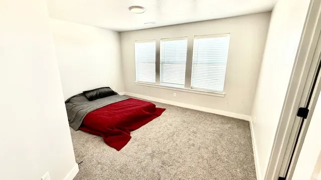 Carpeted room featuring a wall of three windows with blinds, a ceiling-mounted light fixture, and white baseboards
