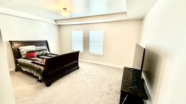 Primary Suite Spacious bedroom featuring light-colored walls, tray ceiling, and neutral carpet flooring