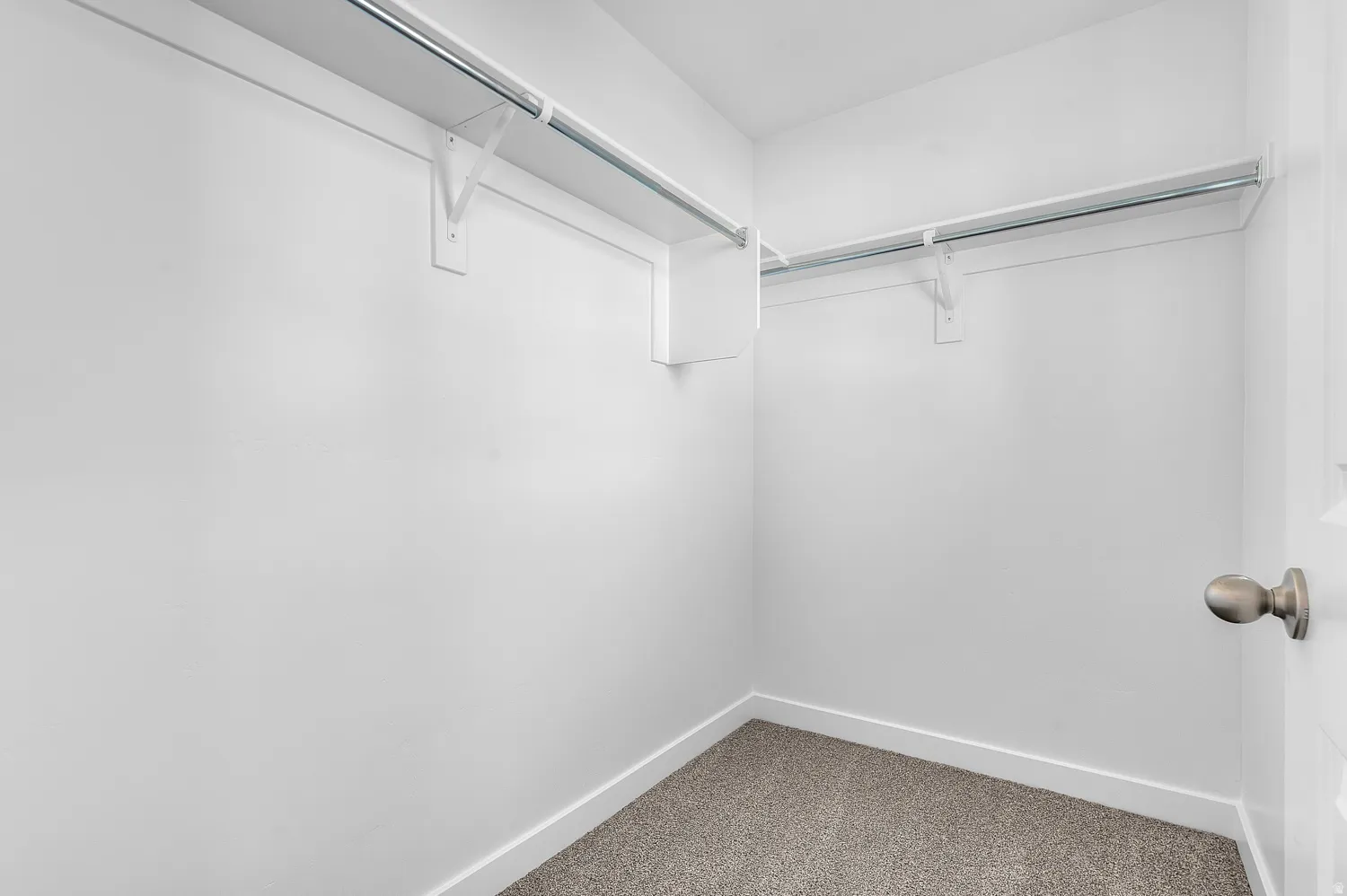 Walk in closet featuring carpet