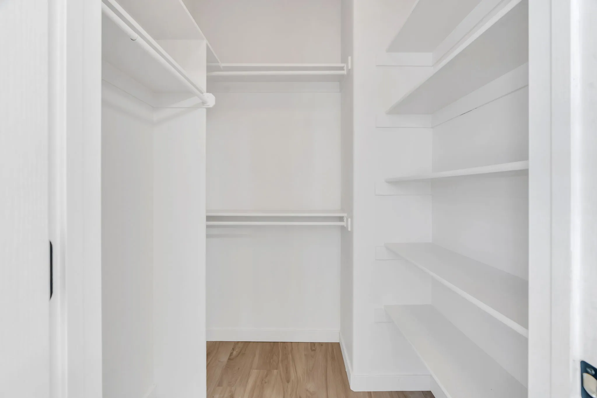 Walk in closet featuring light wood-type flooring