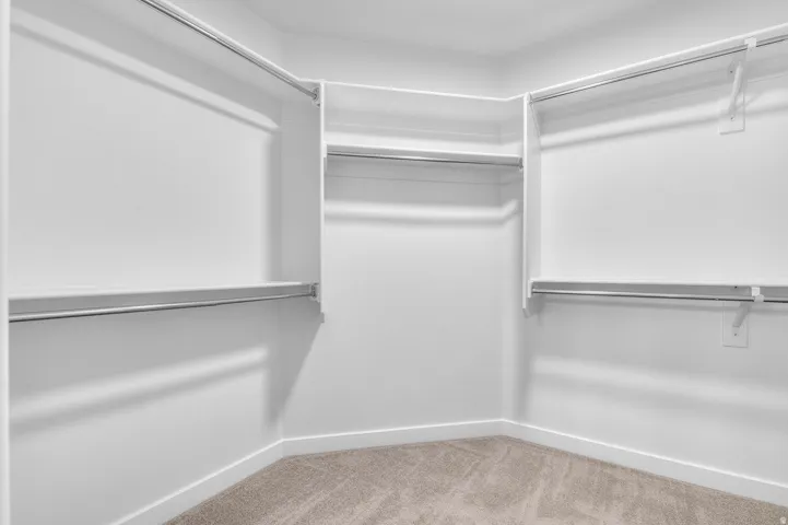 Walk in closet with light colored carpet