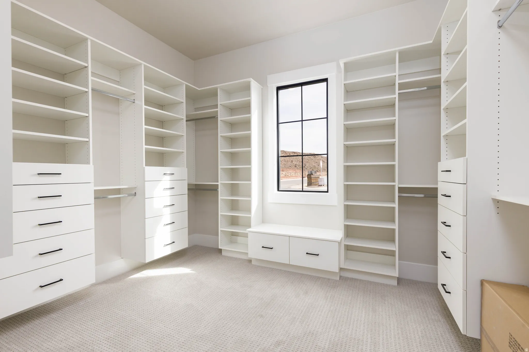 Walk in closet featuring light colored carpet