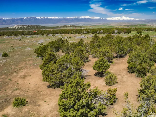 Aerial view of a mountain backdrop