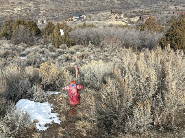 View of local wilderness