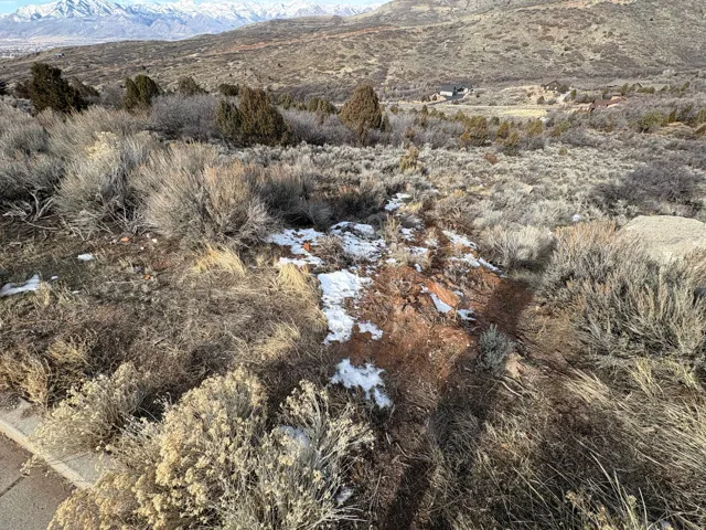View of mountain backdrop
