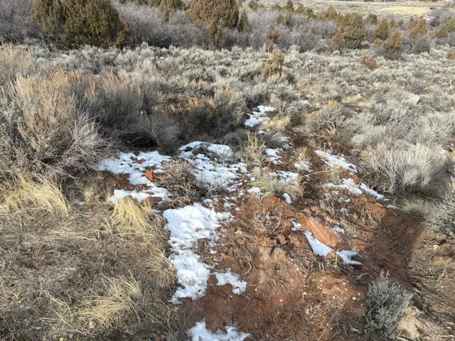 View of snow covered land