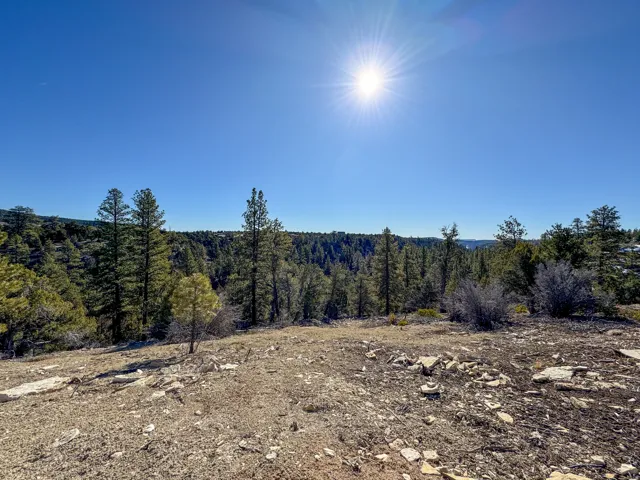 View of wooded area
