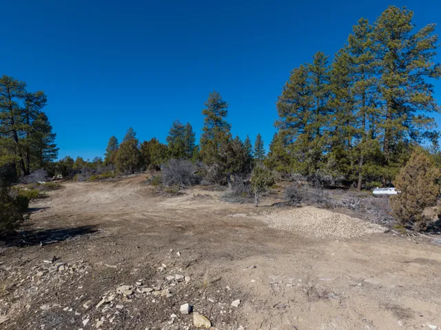 View of undeveloped land