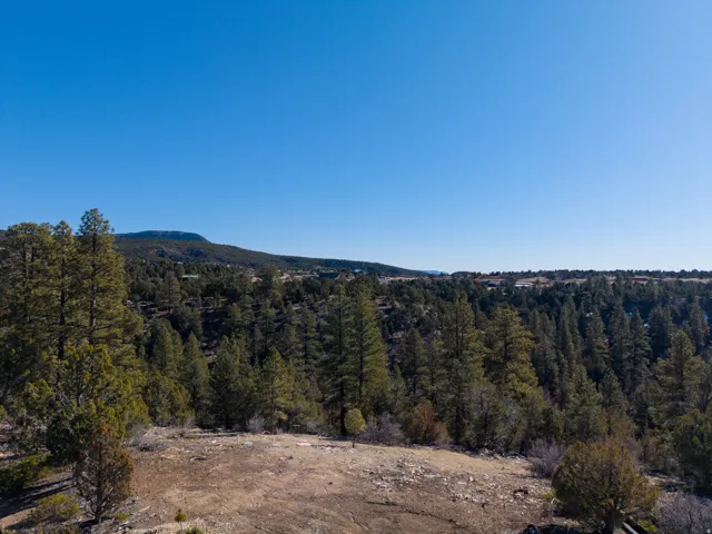 View of mountain backdrop with a forest