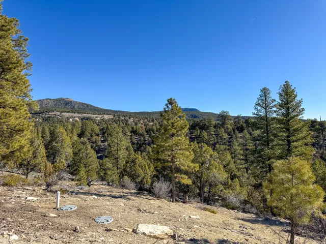 View of mountain backdrop