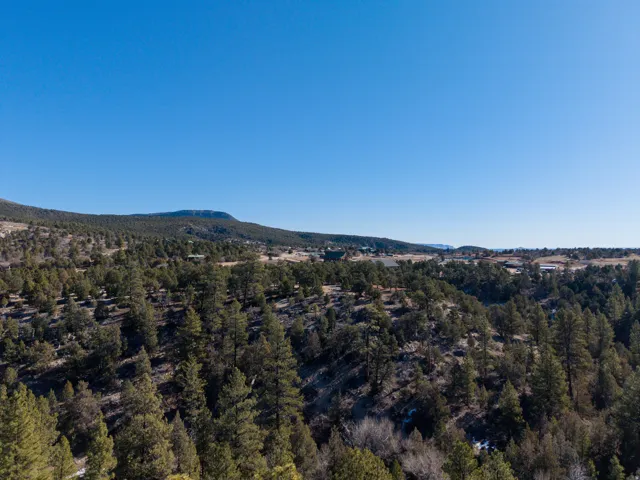 View of mountain background featuring a heavily wooded area