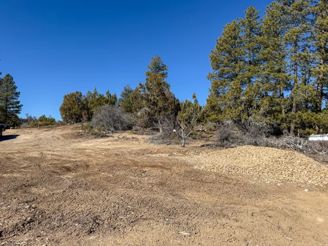 View of undeveloped land