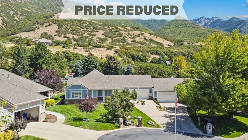 Drone / aerial view of a mountainous background