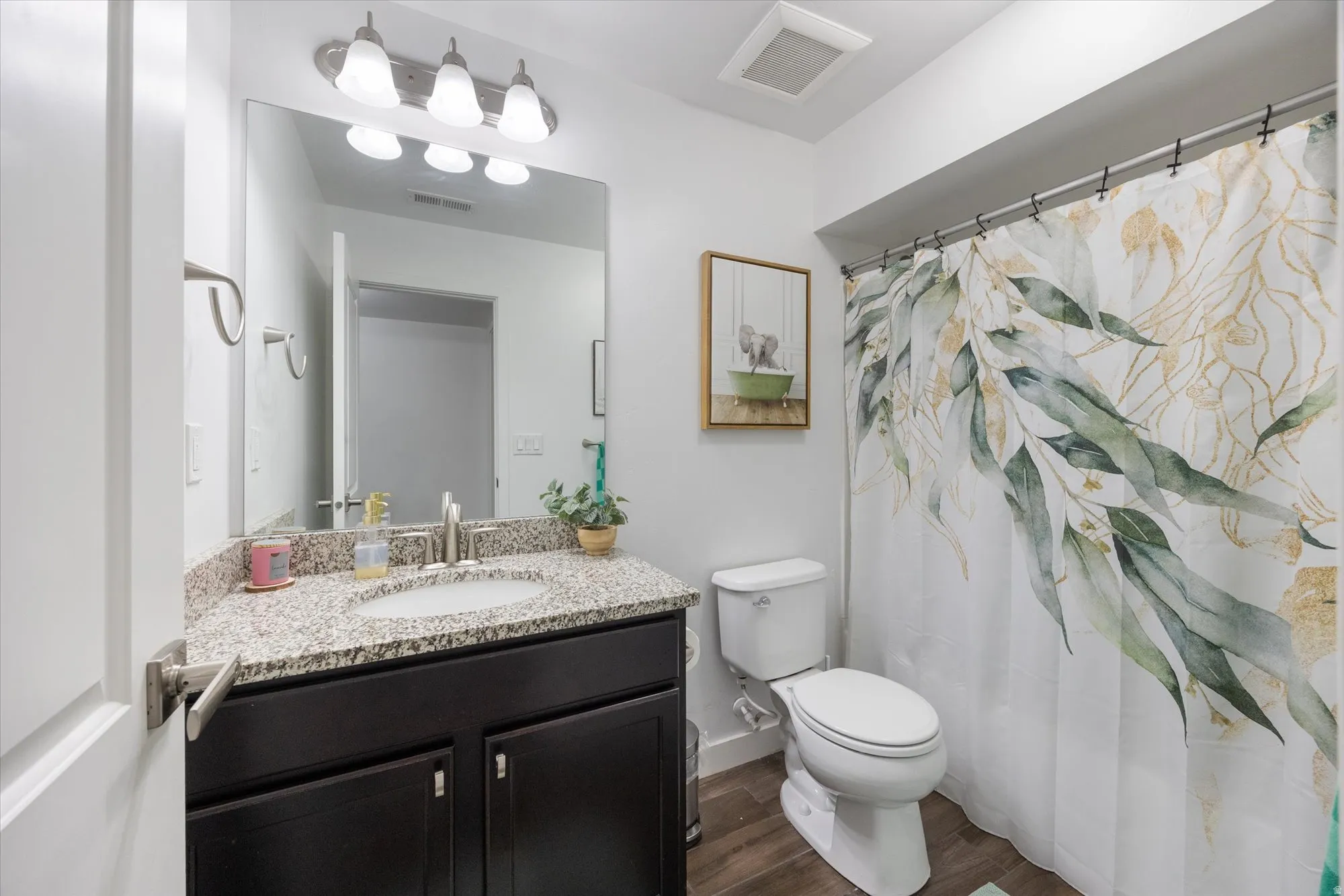 Bathroom featuring vanity, a shower with curtain, and dark wood-style flooring