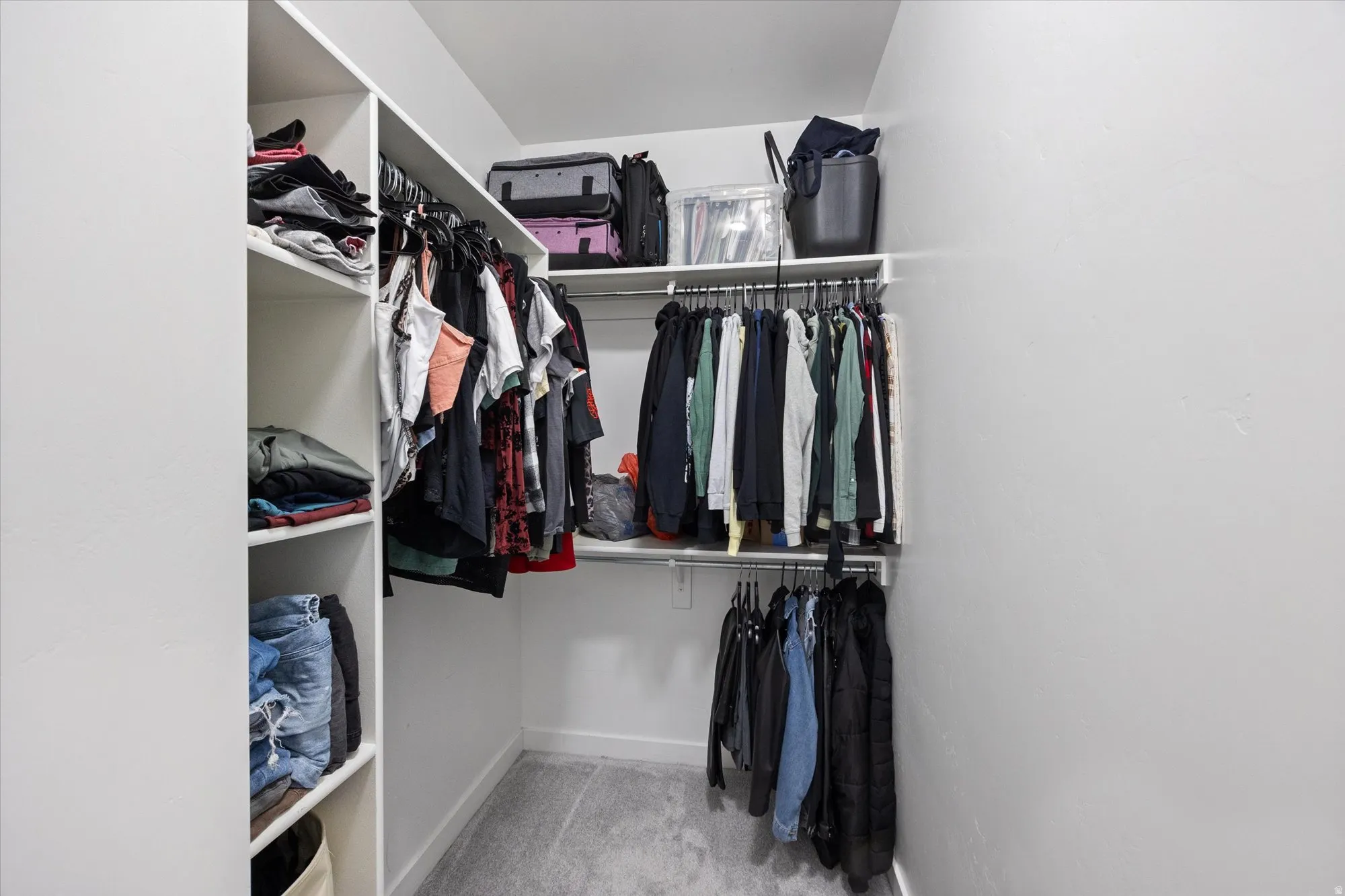 Walk in closet featuring light colored carpet