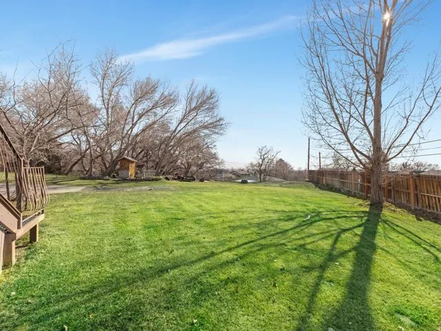 Expansive backyard with a manicured lawn, mature trees, and a wooden privacy fence
