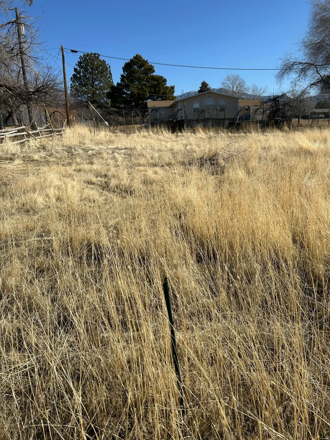 View of undeveloped land featuring rural landscape