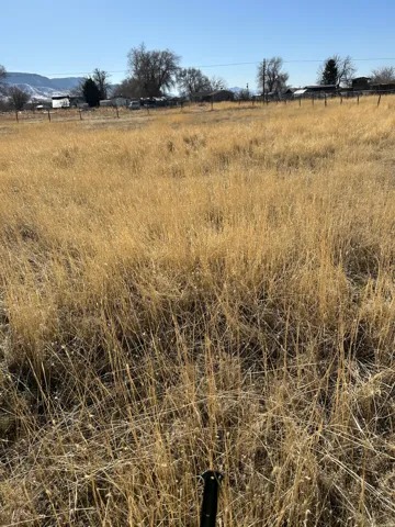 View of nature featuring rural landscape
