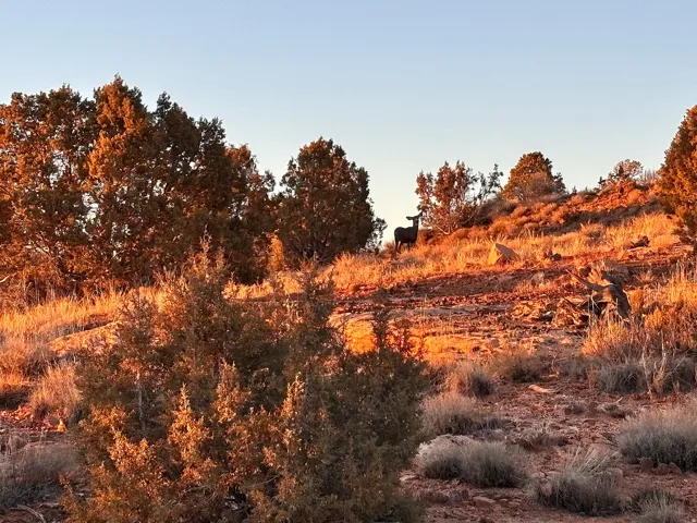 675 W 950 N, Blanding, Utah 84511