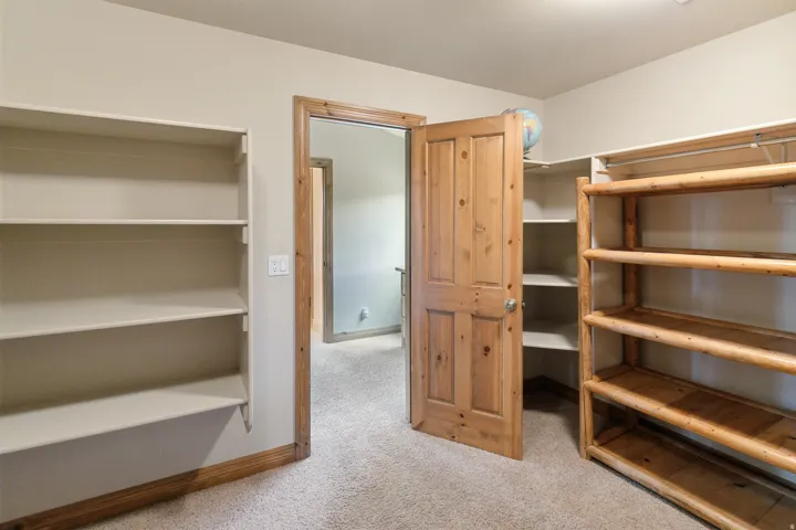 Walk in closet with light carpet