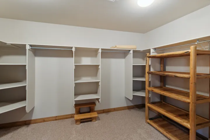 Walk in closet with light carpet