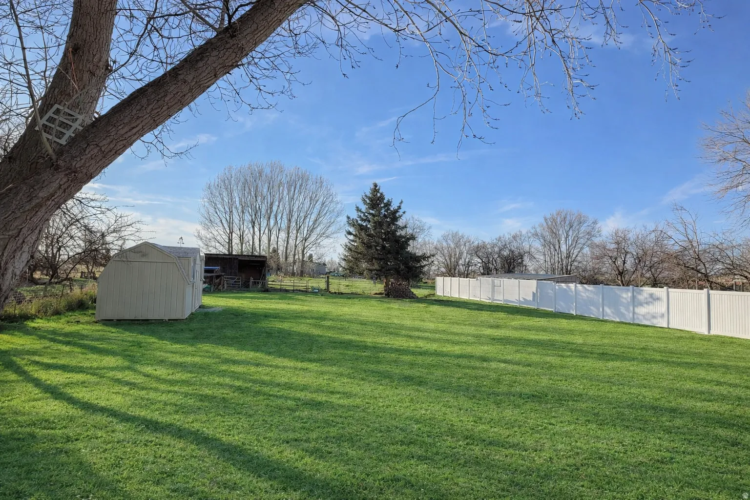 View of yard featuring a shed