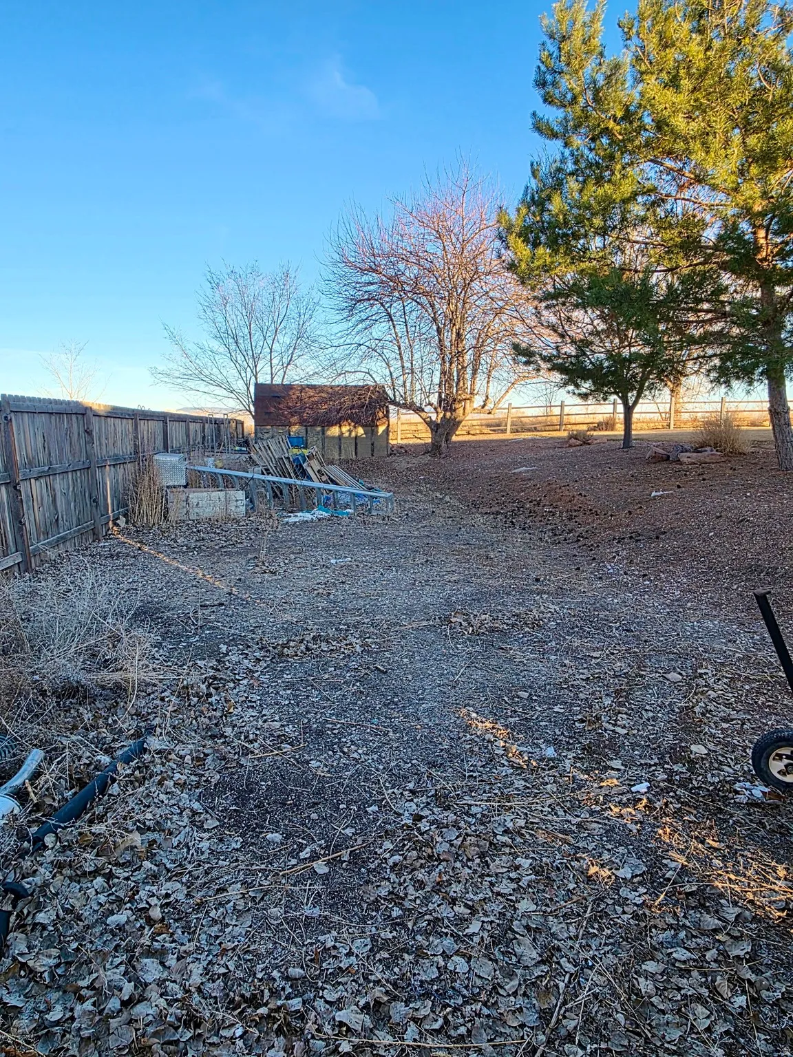 View of RV parking area and included storage shed