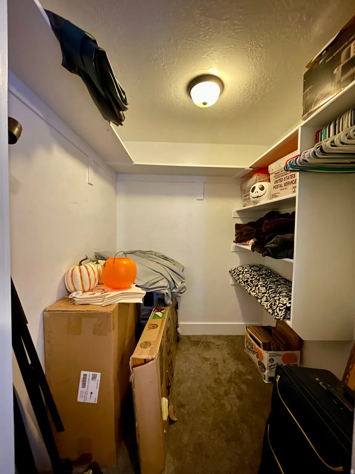 Walk in closet with dark carpet