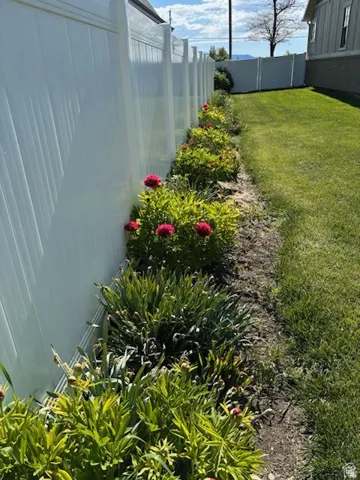 View of fenced backyard