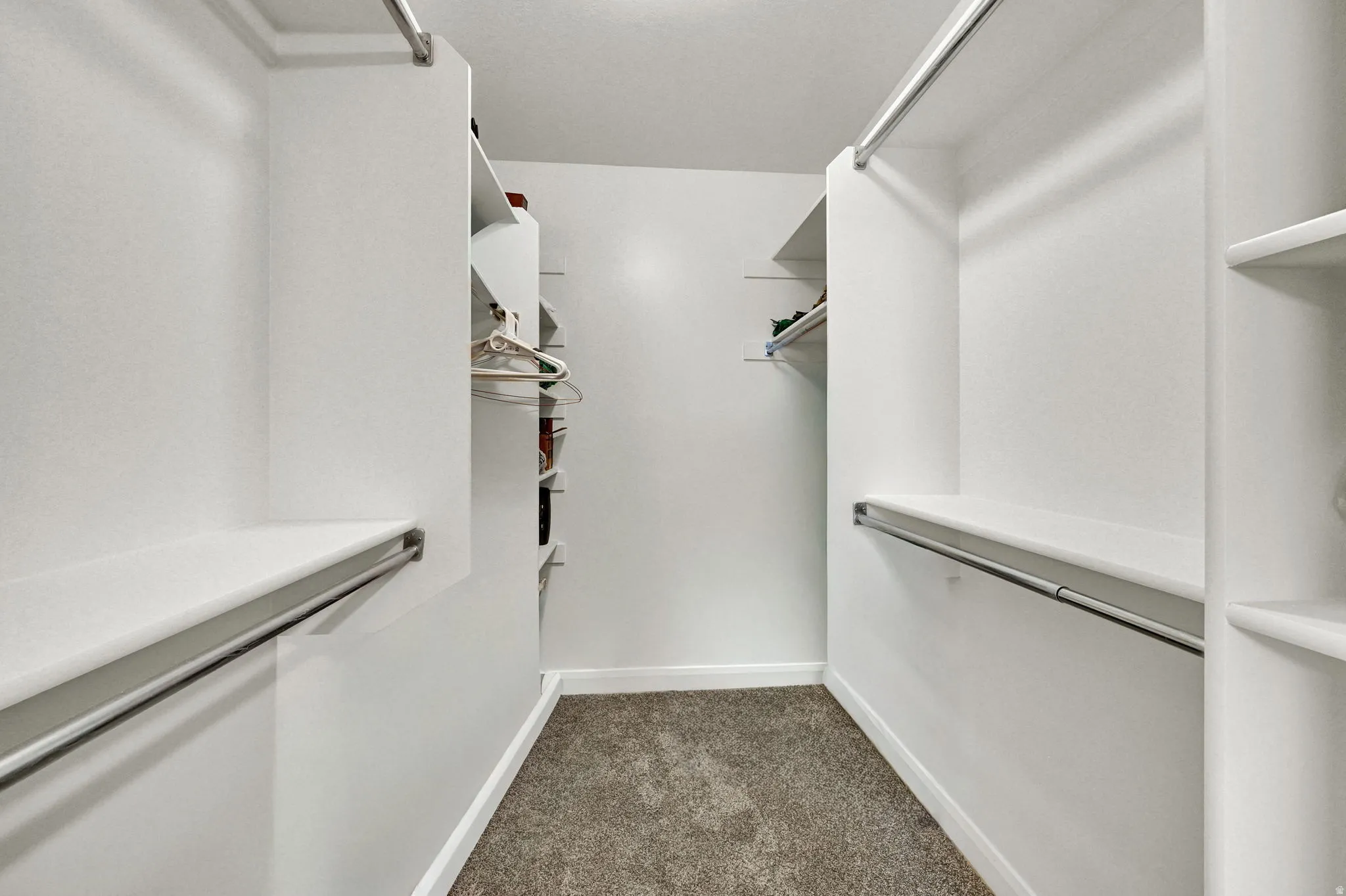 Walk in closet with light carpet