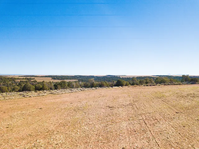 View of local wilderness with rural landscape