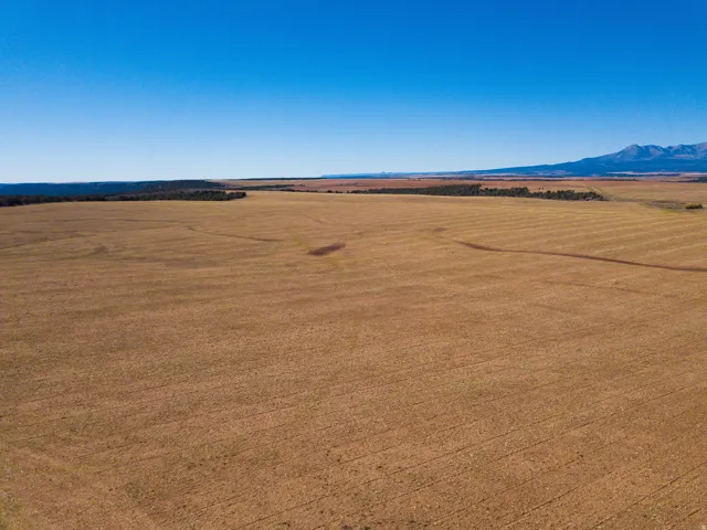 Aerial view of sparsely populated area with a mountainous background