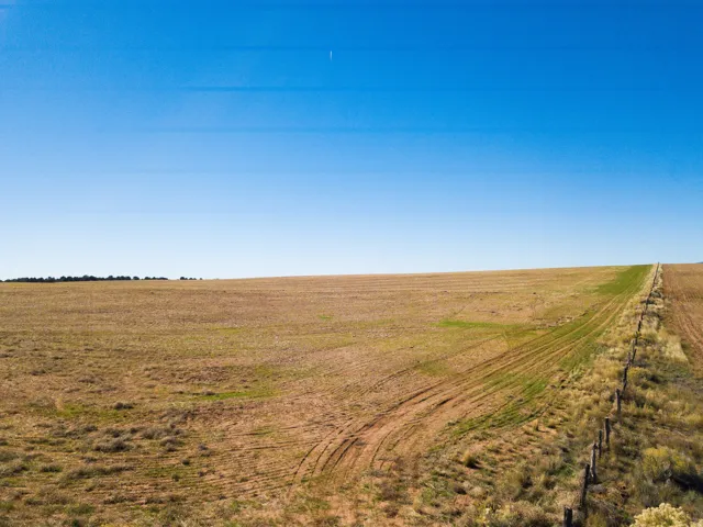 View of undeveloped land featuring rural landscape