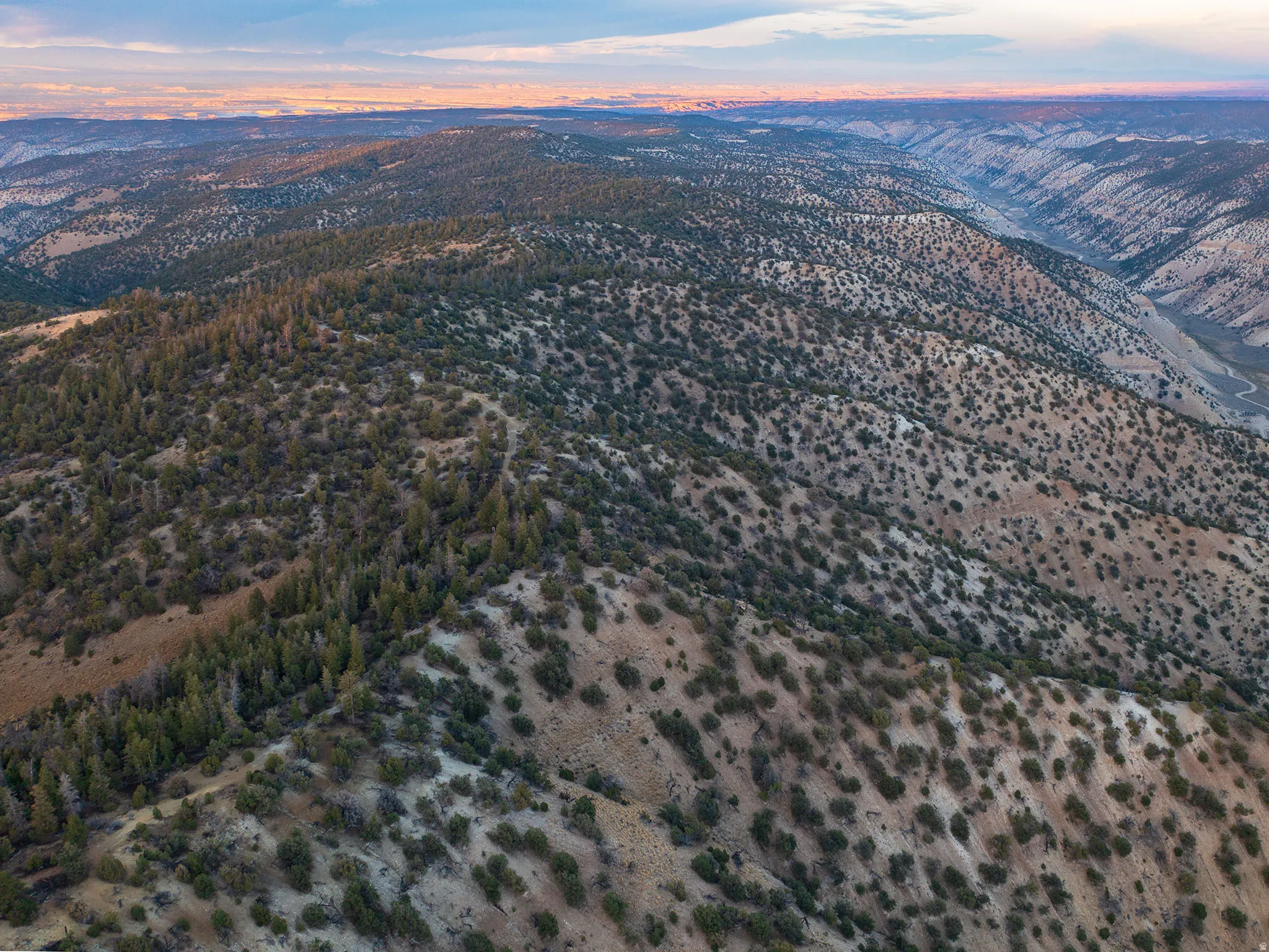 Aerial view at dusk