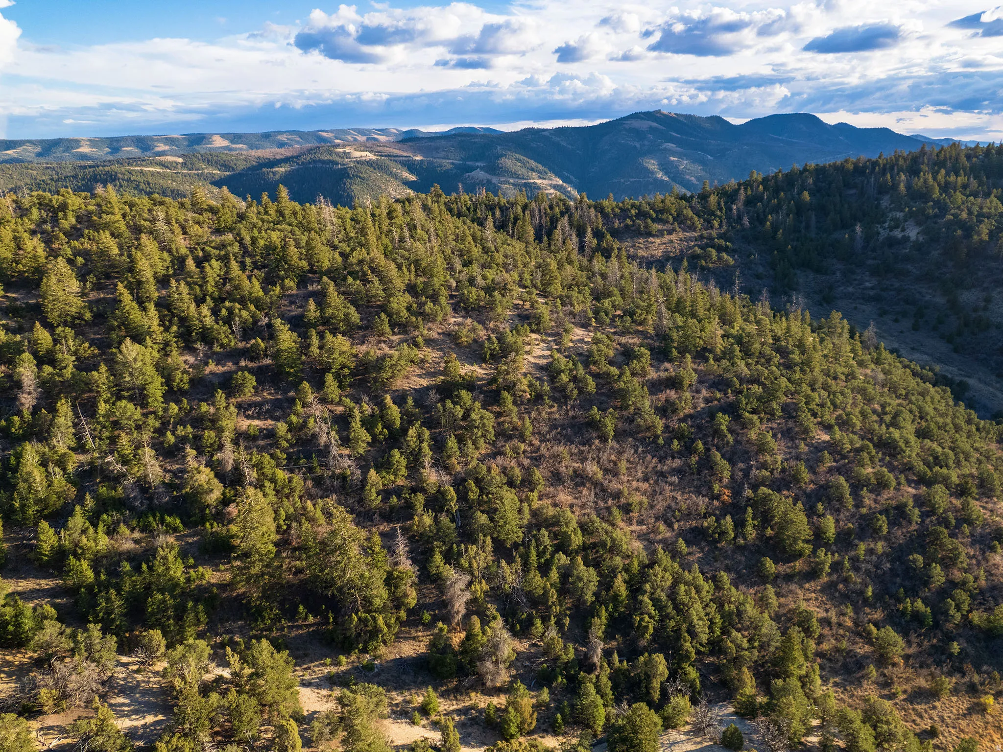 Mountain view featuring a heavily wooded area