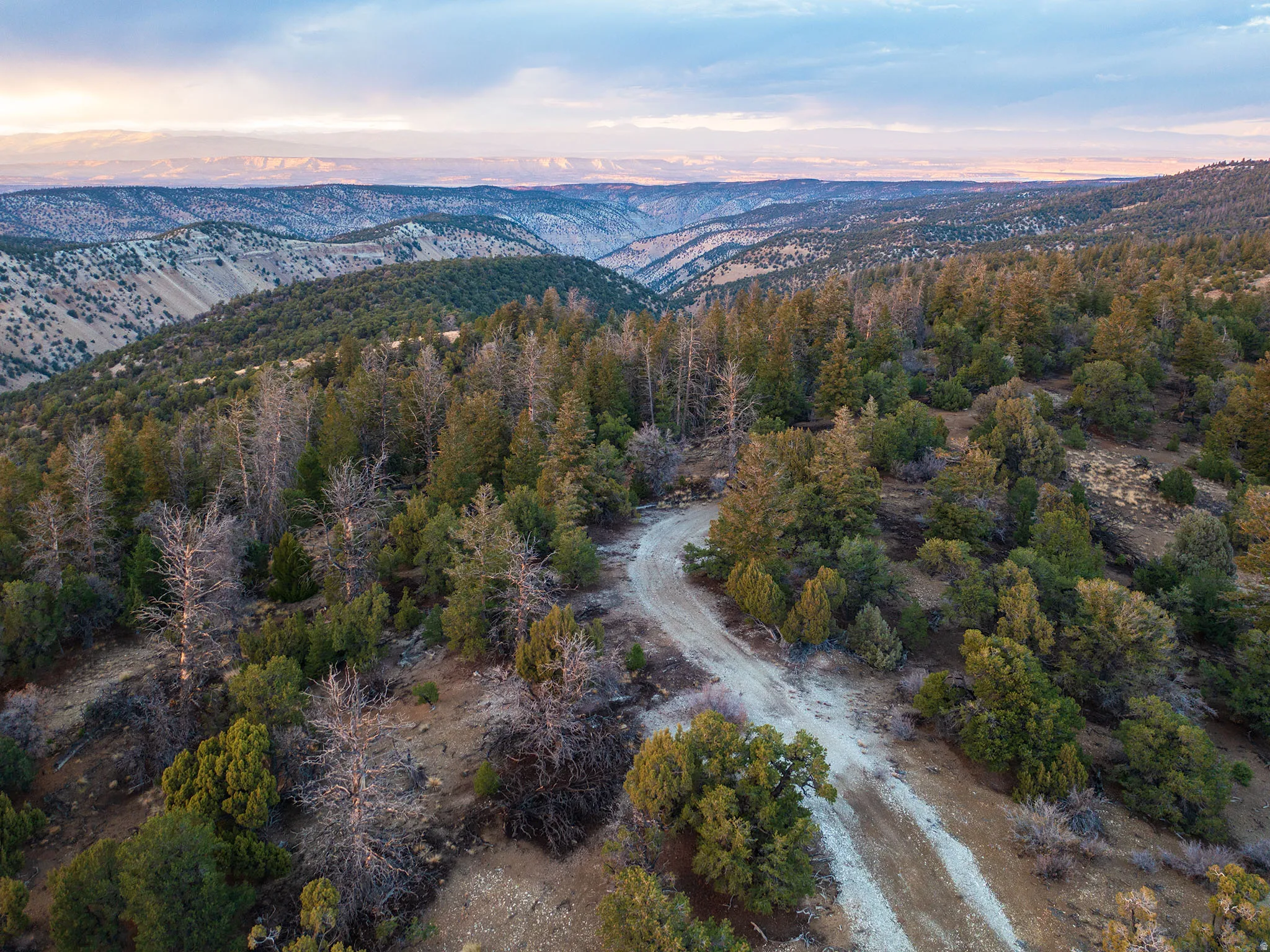 Bird's eye view of a mountain backdrop