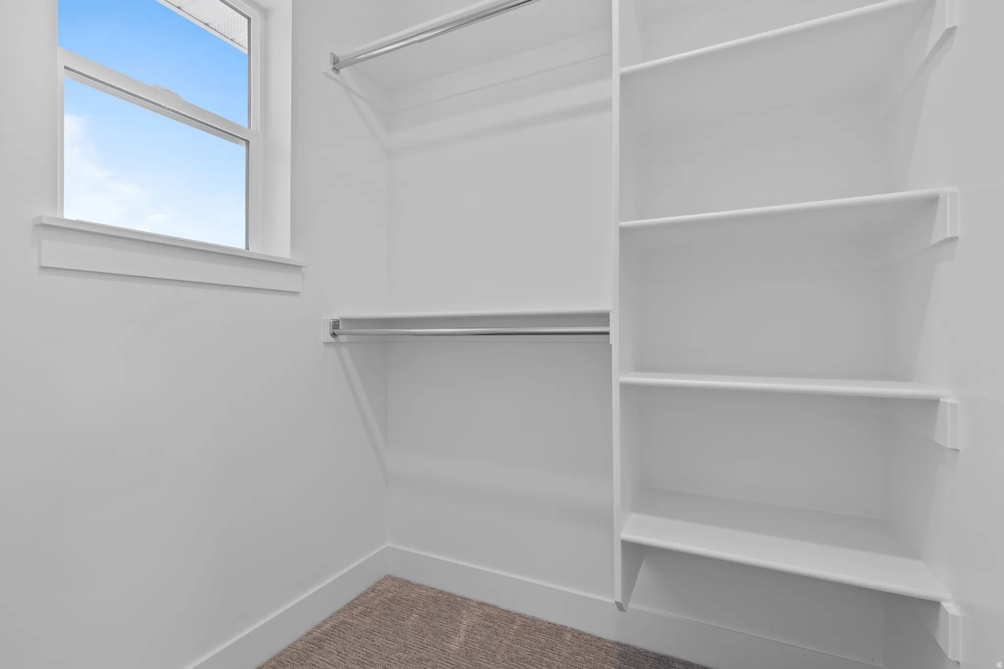 Walk in closet with carpet