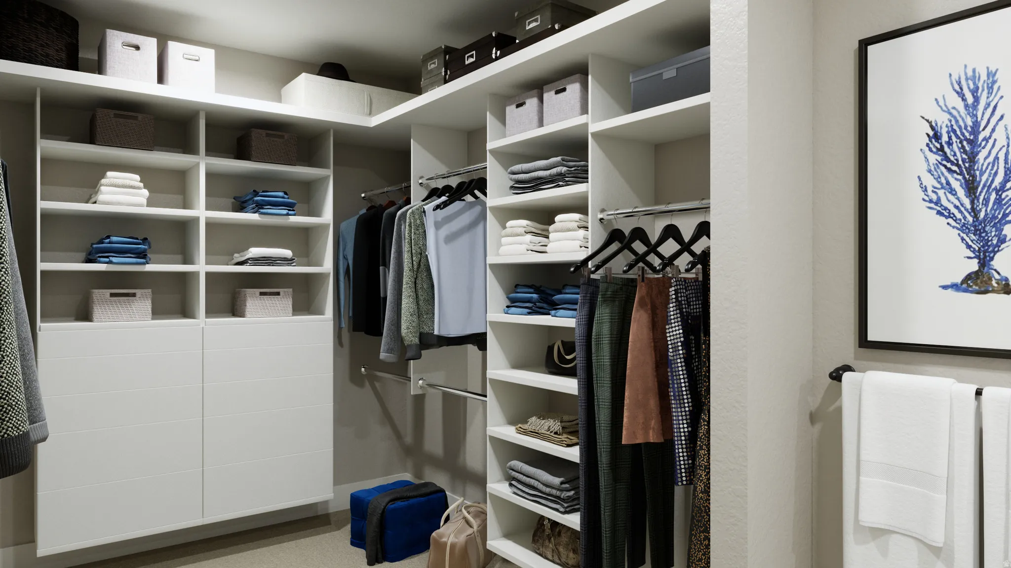 View of walk in closet