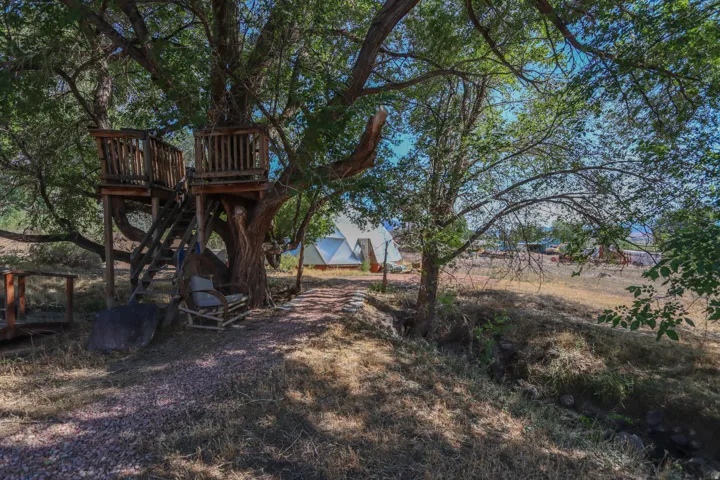 Expansive outdoor area featuring mature trees and a multi-level treehouse with wooden railings and stairs