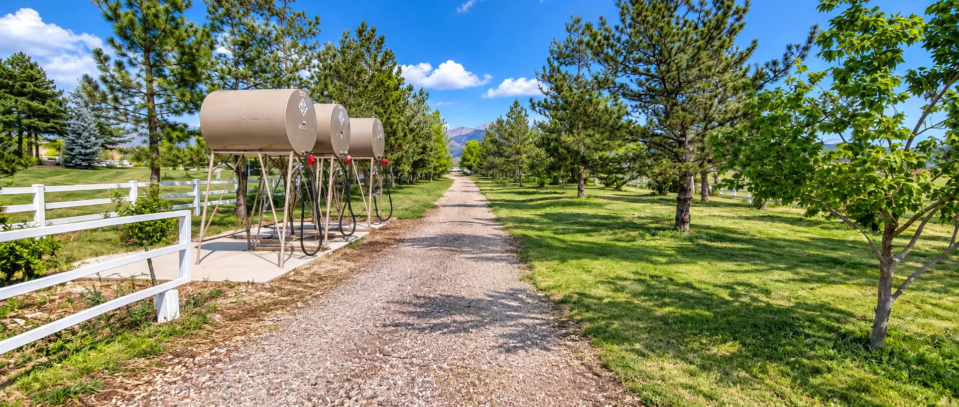 Gravel driveway with a white three-rail fence, surrounded by mature trees and grassy areas