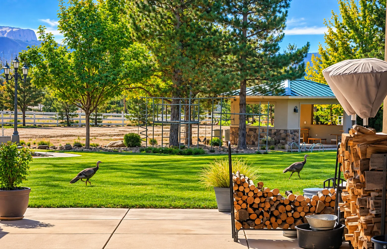 Expansive lawn featuring mature trees and a white fence line