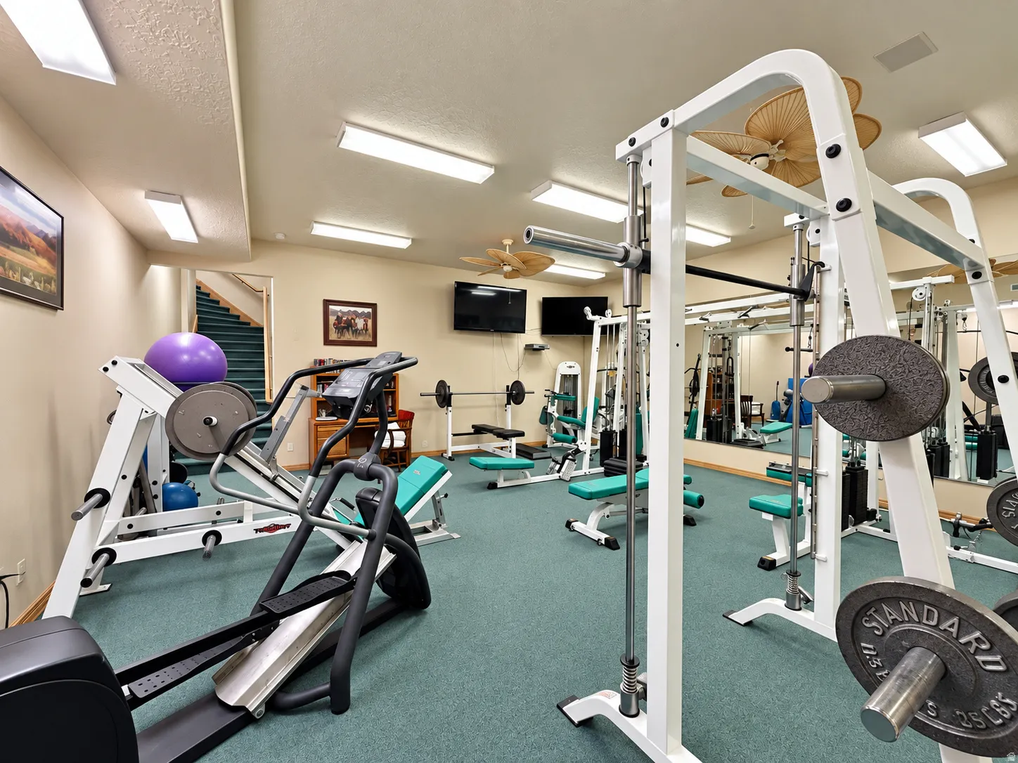 Dedicated fitness room featuring carpet flooring, ceiling fans, and integrated wall mirrors