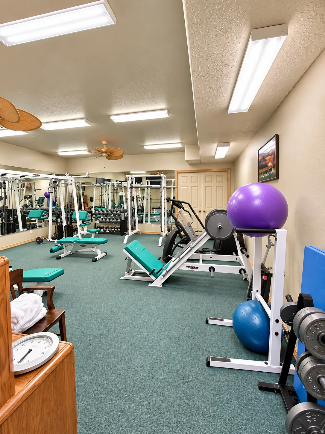 Recessed fluorescent lighting, textured ceiling, dual paneled doors, wall-mounted mirror, and carpeted flooring